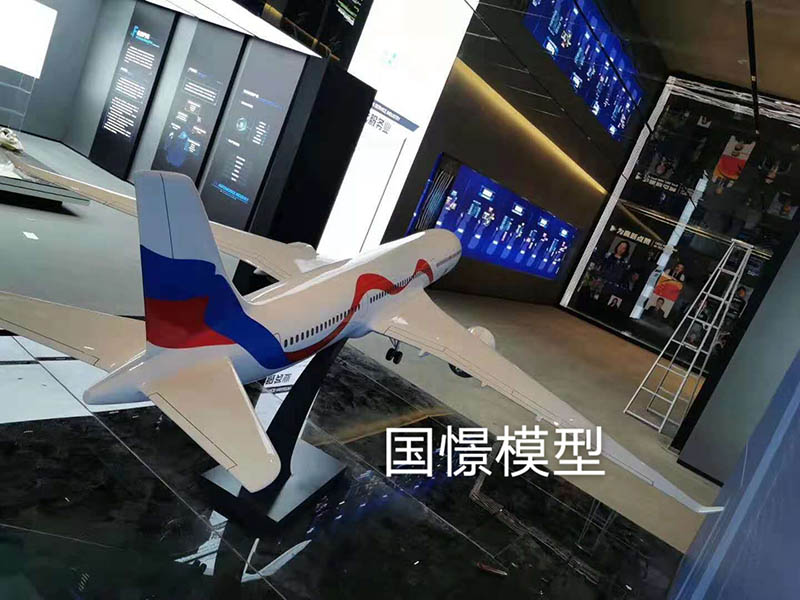 滨海县飞机模型